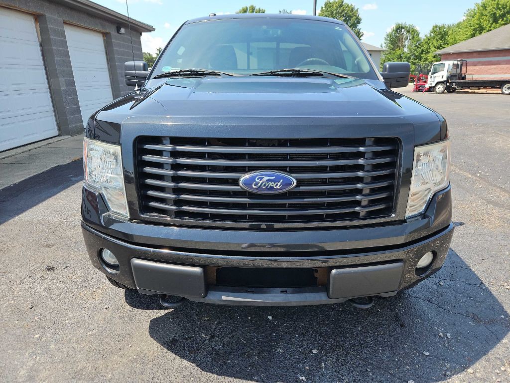 2014 Ford F-150 Image 3