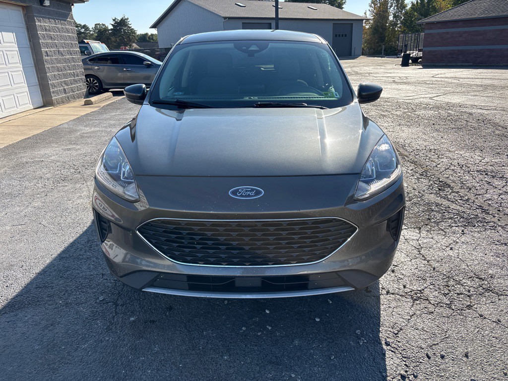 2020 Ford Escape Image 3