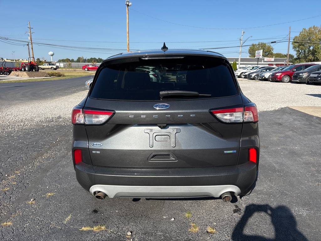 2020 Ford Escape Image 6