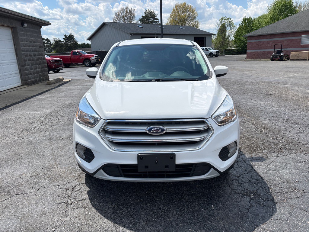 2019 Ford Escape Image 3