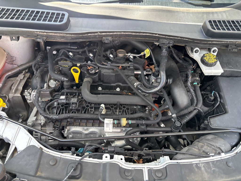 2019 Ford Escape Image 25