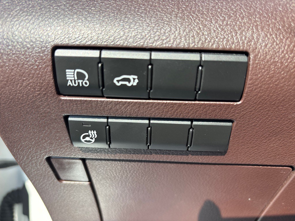 2017 Lexus RX Image 16