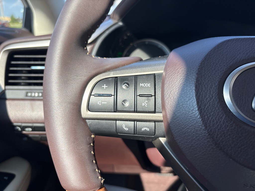2017 Lexus RX Image 18