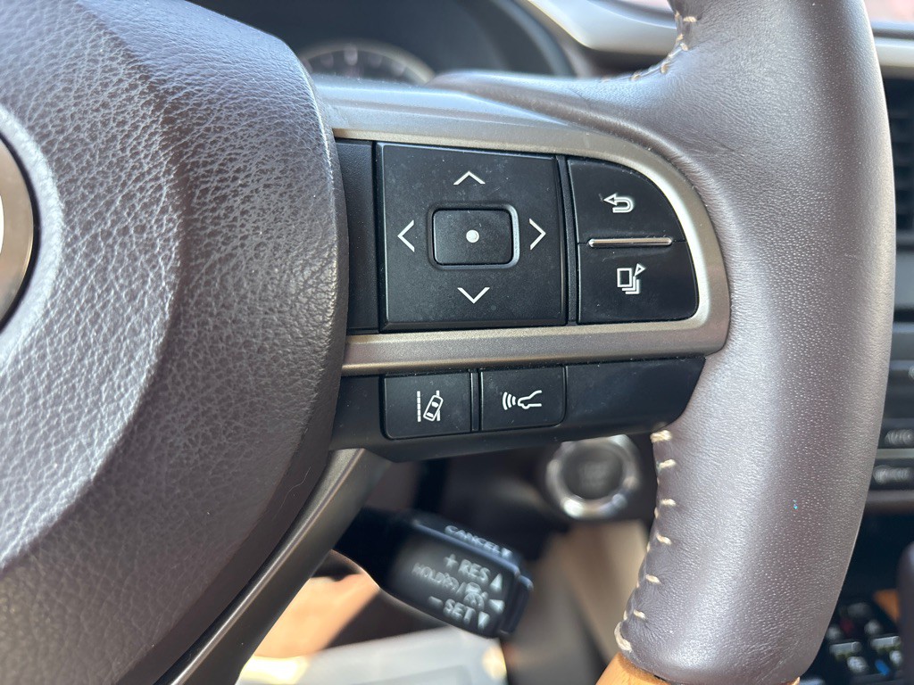 2017 Lexus RX Image 19