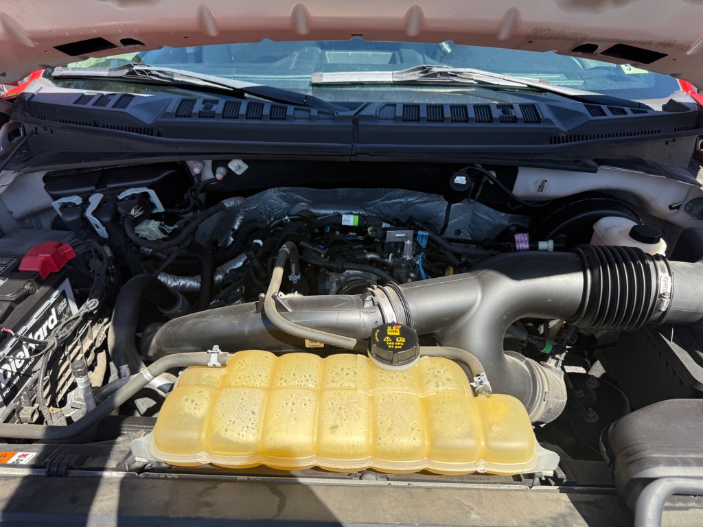 2019 Ford F-150 Image 14