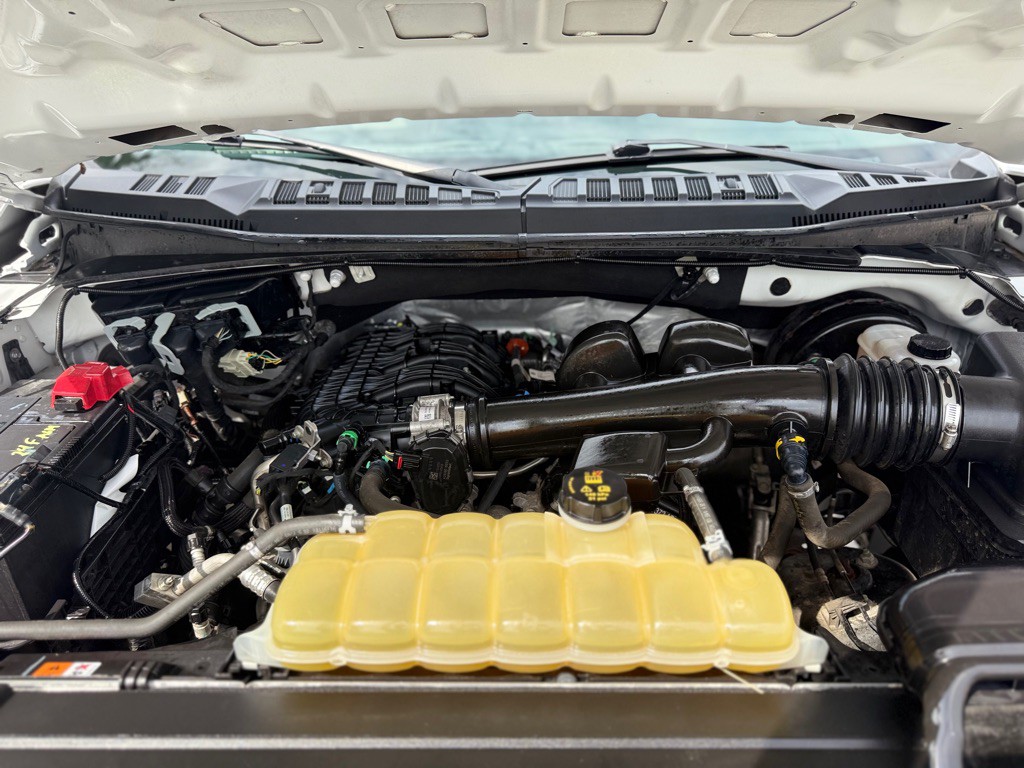 2020 Ford F-150 Image 14