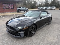 Image for 2023 Ford Mustang Ecoboost Premium ID: 7171354