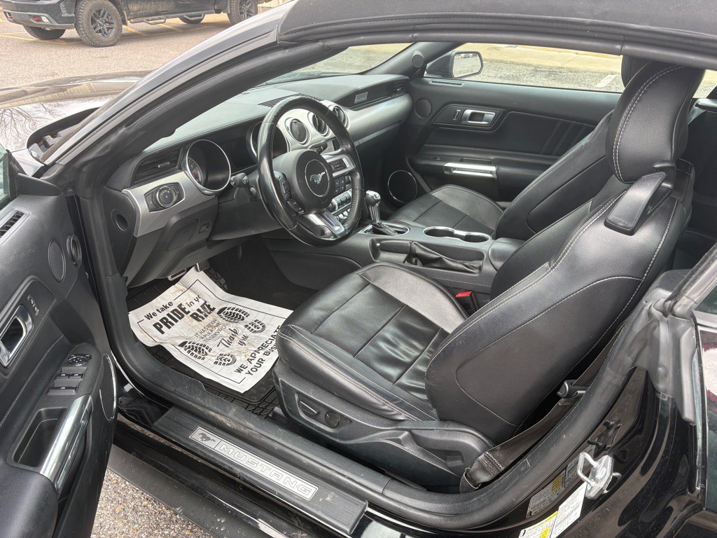 2023 Ford Mustang Image 4