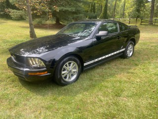 Image for 2006 Ford Mustang V6 STANDARD ID: 6890145