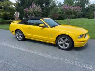 Image for 2006 Ford Mustang Gt Deluxe ID: 7606731