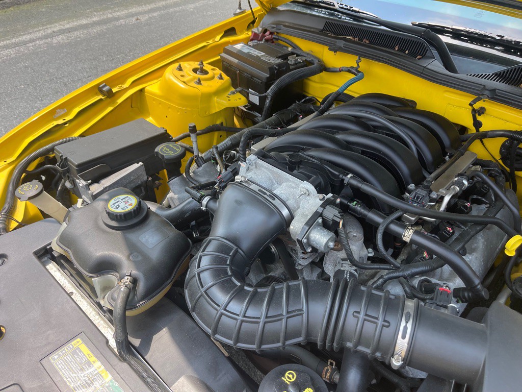 2006 Ford Mustang Image 6