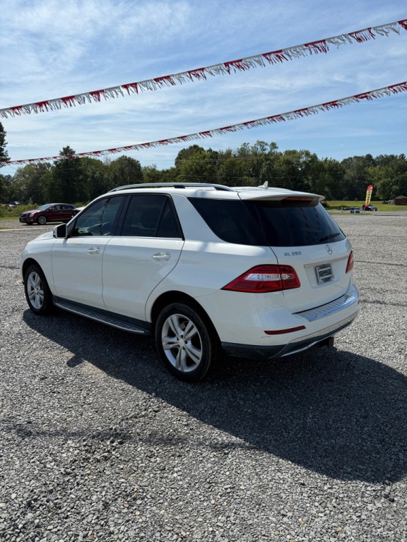 2014 Mercedes-Benz M-Class Image 6