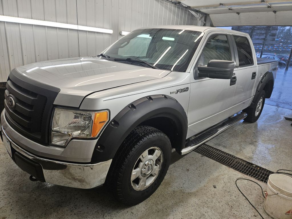 2010 Ford F-150 Image 3
