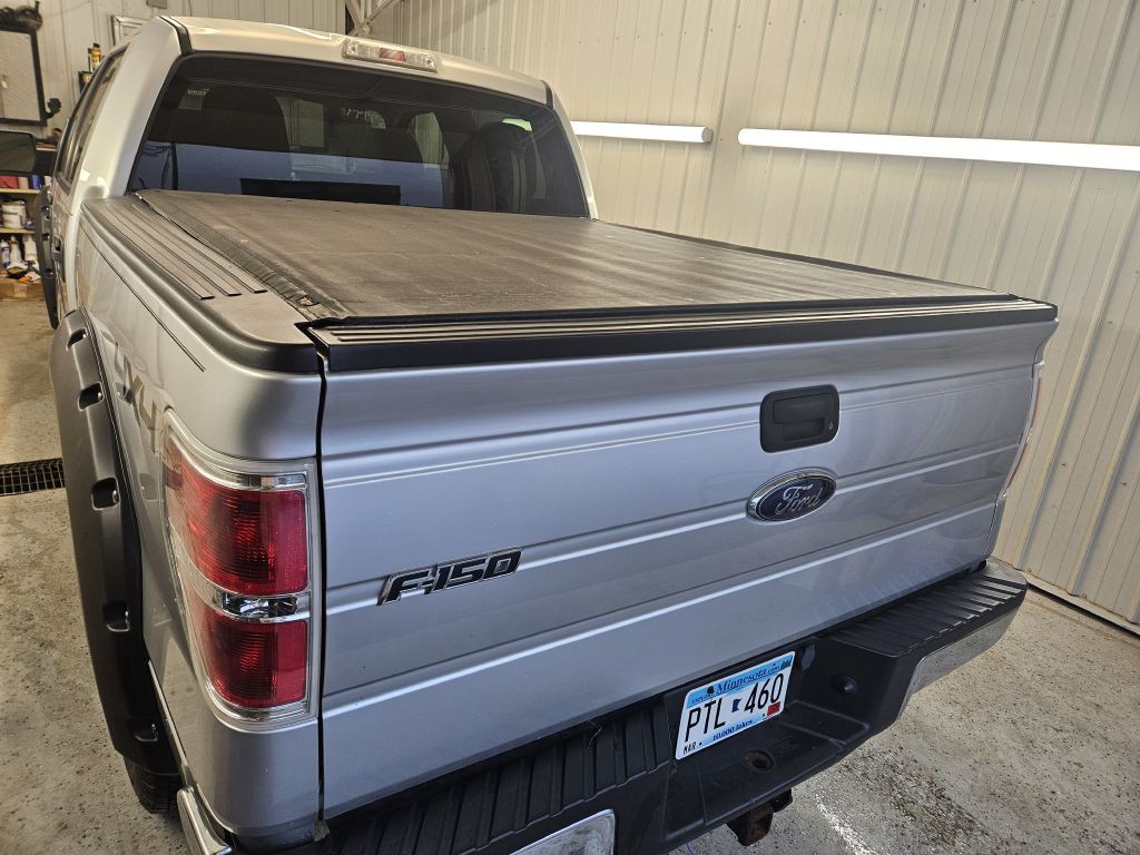 2010 Ford F-150 Image 4
