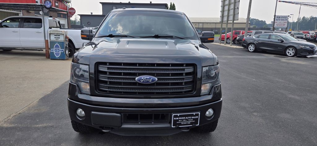 2014 Ford F-150 Image 2