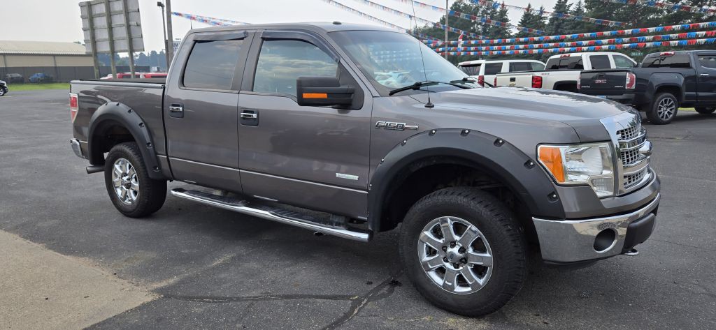 2013 Ford F-150 Image 1