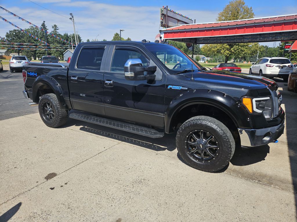 2010 Ford F-150 Image 1