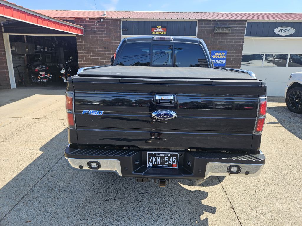 2010 Ford F-150 Image 4