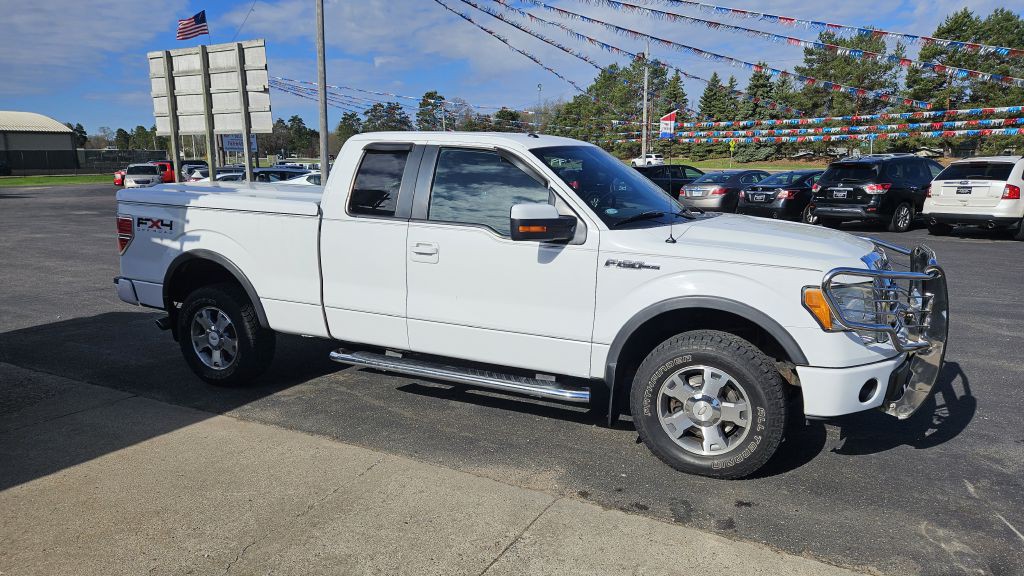 2010 Ford F-150 Image 1