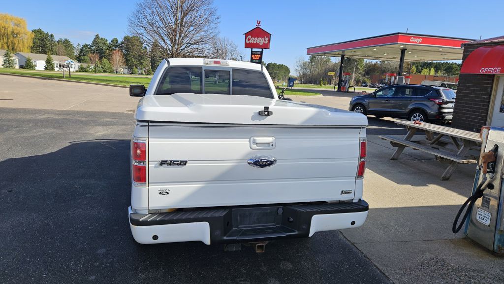 2010 Ford F-150 Image 4