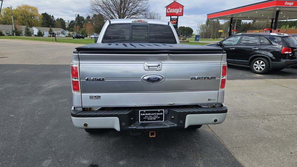 2010 Ford F-150 Image 4