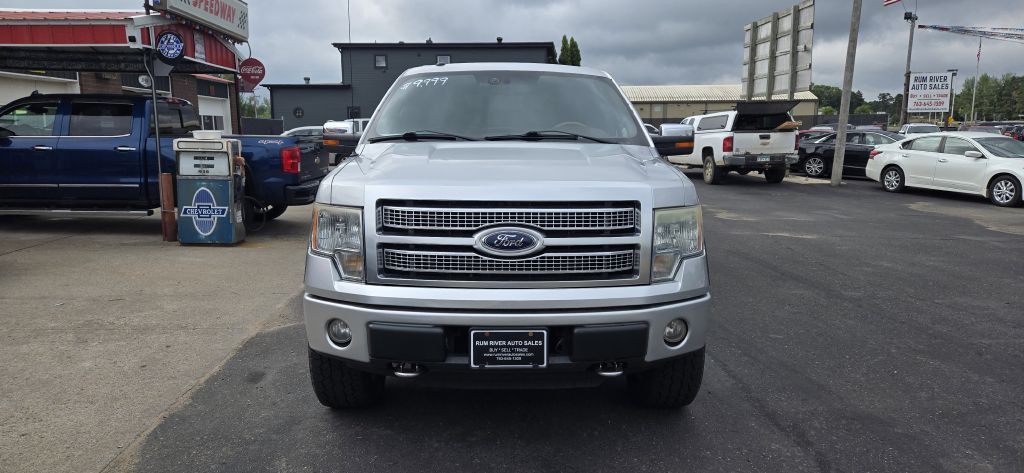 2010 Ford F-150 Image 2