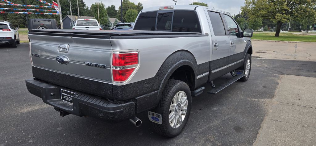 2010 Ford F-150 Image 3