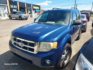 Image for 2008 Ford Escape XLT ID: 7359248