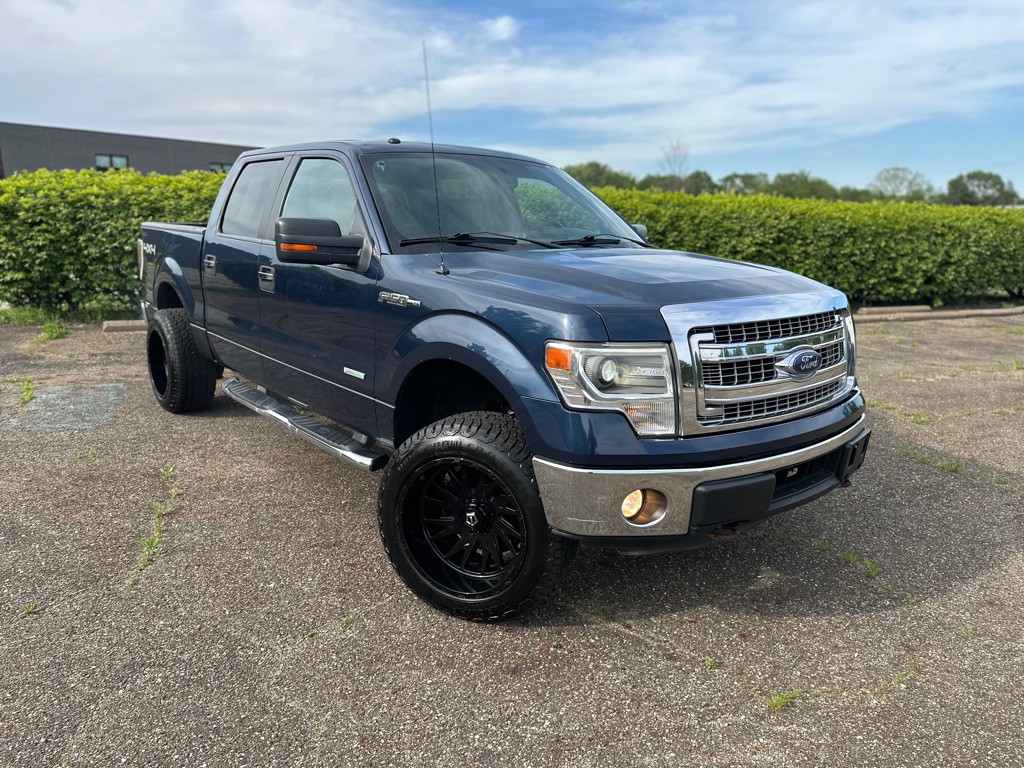 2014 Ford F-150 Image 3