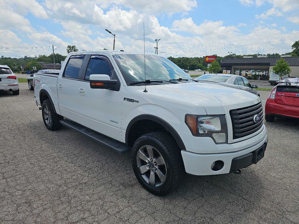 2011 Ford F-150 Image 5