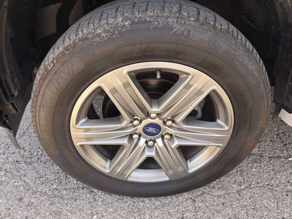 2019 Ford F-150 Image 13
