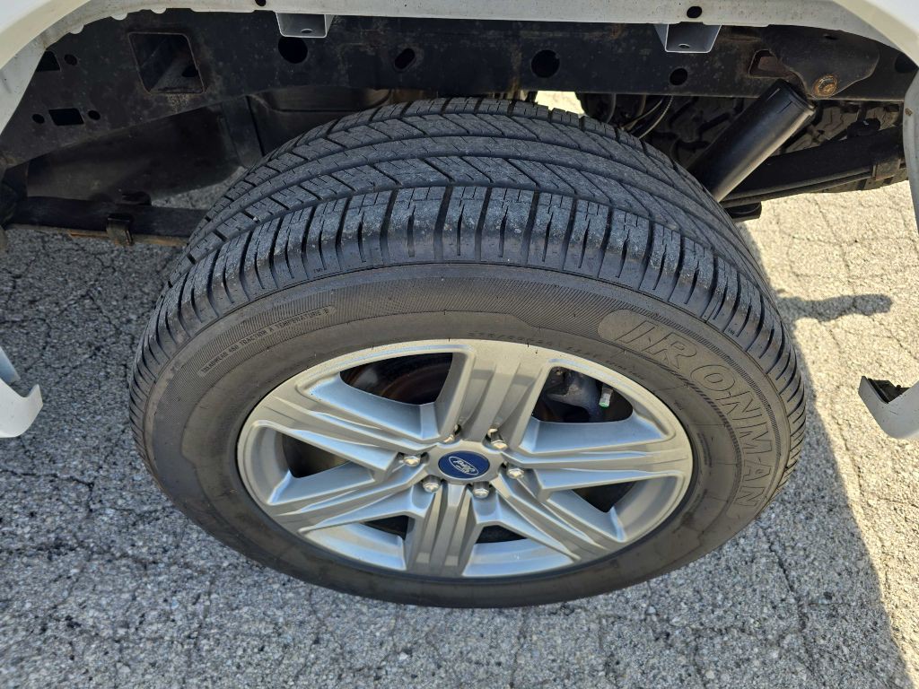 2019 Ford F-150 Image 14