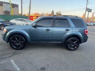 Image for 2011 Ford Escape XLT ID: 6713126