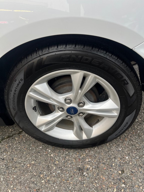 2014 Ford Focus Image 5