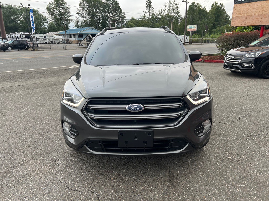 2019 Ford Escape Image 3