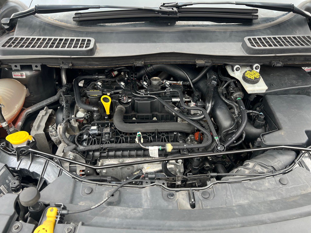 2019 Ford Escape Image 6