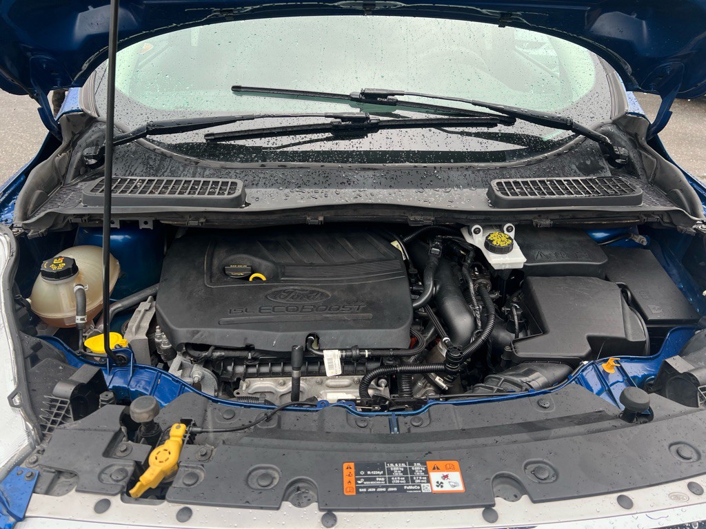 2017 Ford Escape Image 6