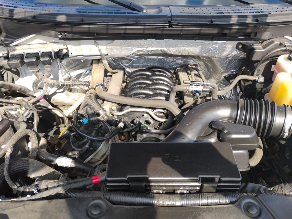 2013 Ford F-150 Image 10