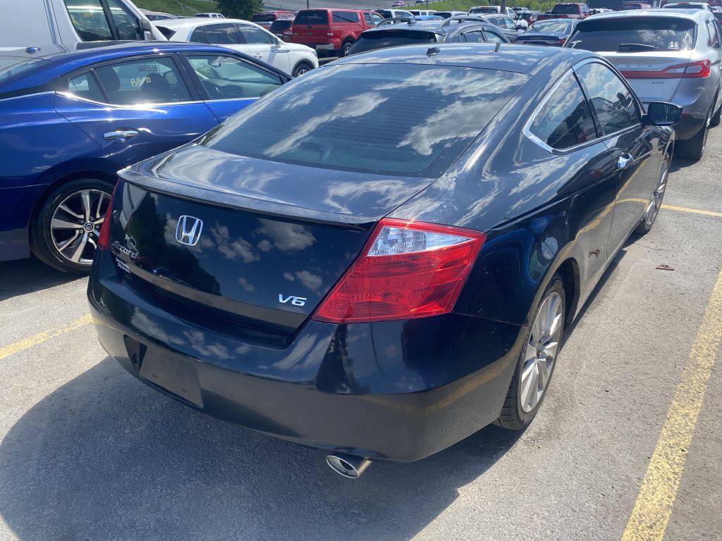 2010 Honda Accord Image 3