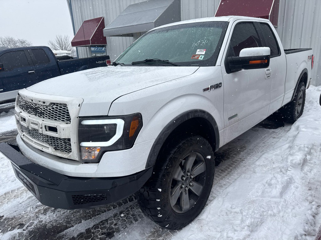 2014 Ford F-150 Image 1