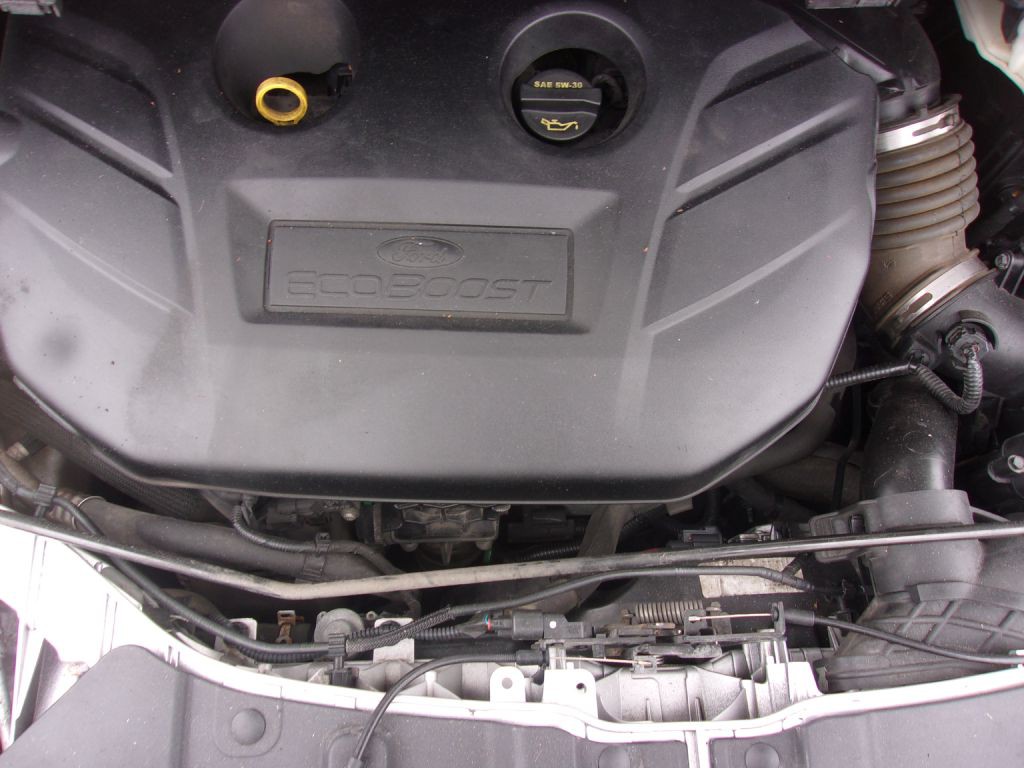 2014 Ford Escape Image 8