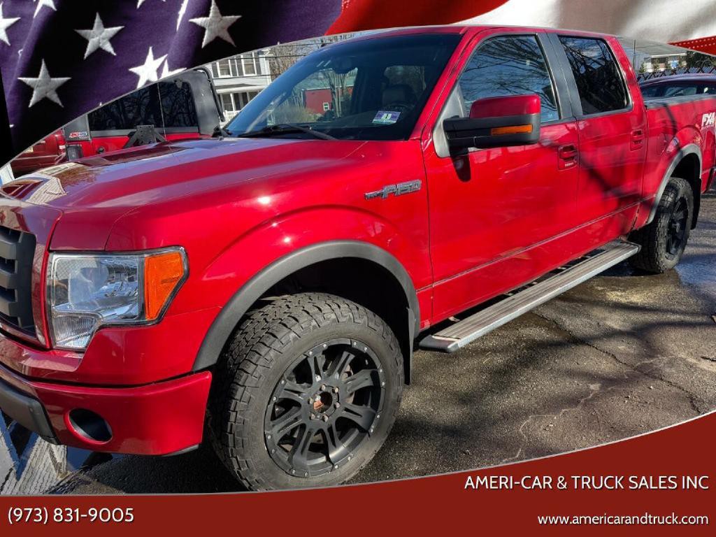 2010 Ford F-150 Image 1