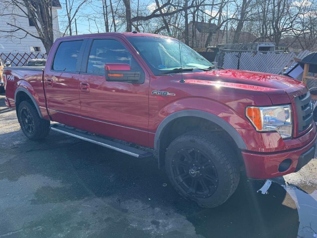 2010 Ford F-150 Image 3