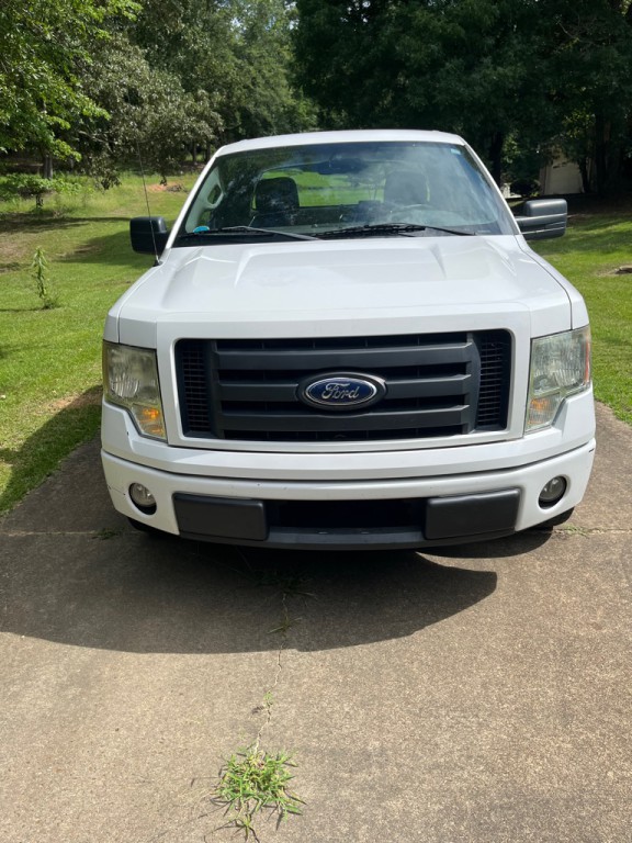 2010 Ford F-150 Image 1