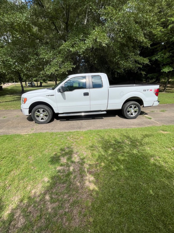2010 Ford F-150 Image 2