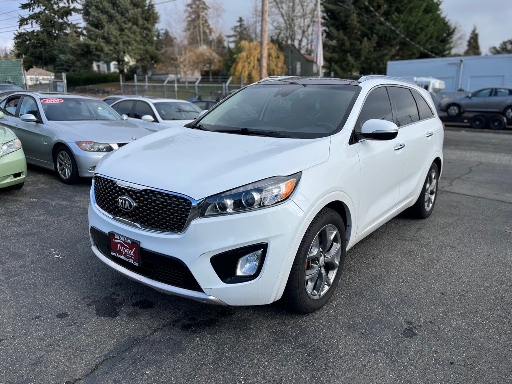2017 Kia Sorento Image 1