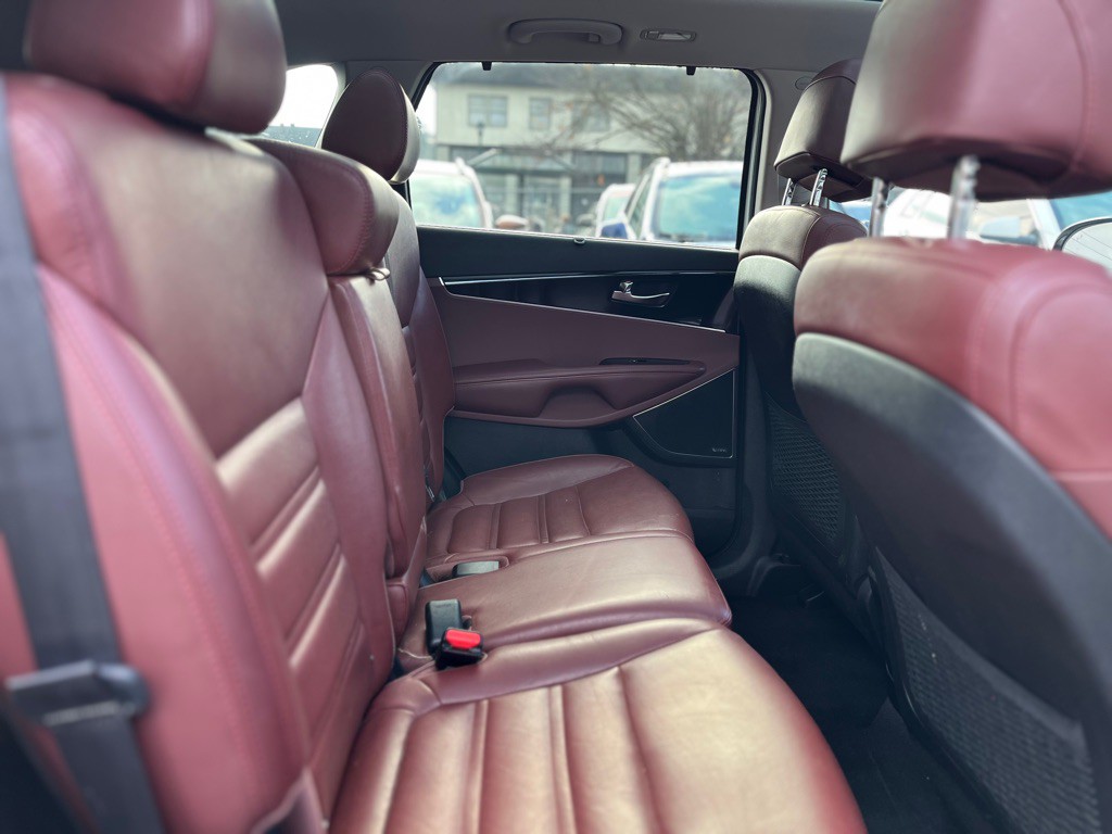 2017 Kia Sorento Image 19