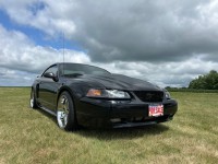 Image for 2001 Ford Mustang  ID: 6657992