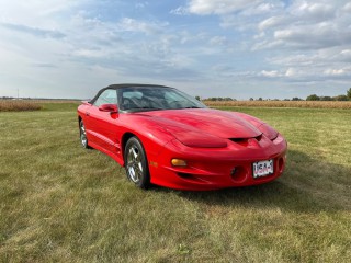 Image for 1998 Pontiac Firebird Trans Am ID: 6861153