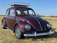 Image for 1969 Volkswagen Beetle  ID: 6916475